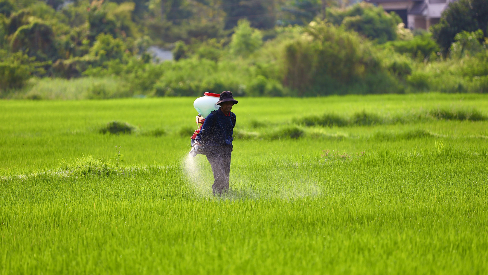 Do czego służy monoetanoloamina w agrochemikaliach?